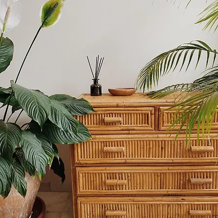 Cool Loft In The Old Town With Rooftop Terrace And Fireplace Apartment Tarifa