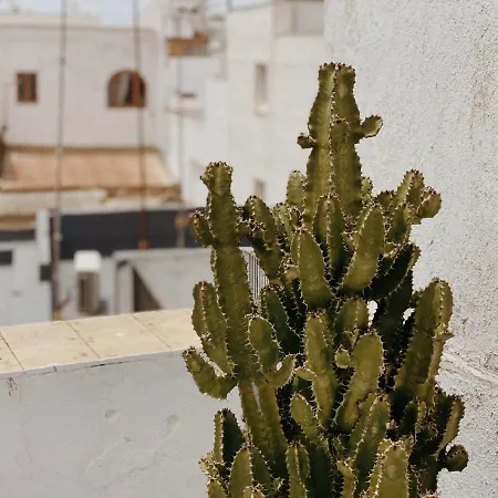 Cool Loft In The Old Town With Rooftop Terrace And Fireplace